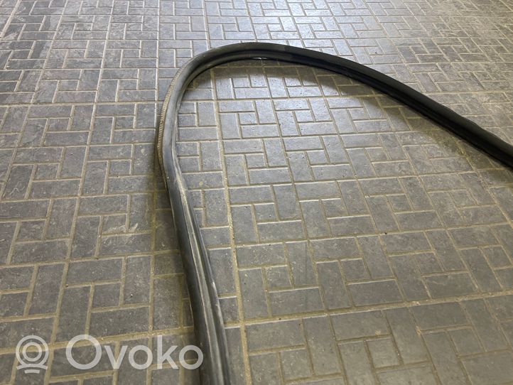 Opel Corsa D Front door rubber seal 13189011