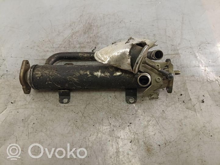 Mitsubishi Grandis Refroidisseur de vanne EGR 