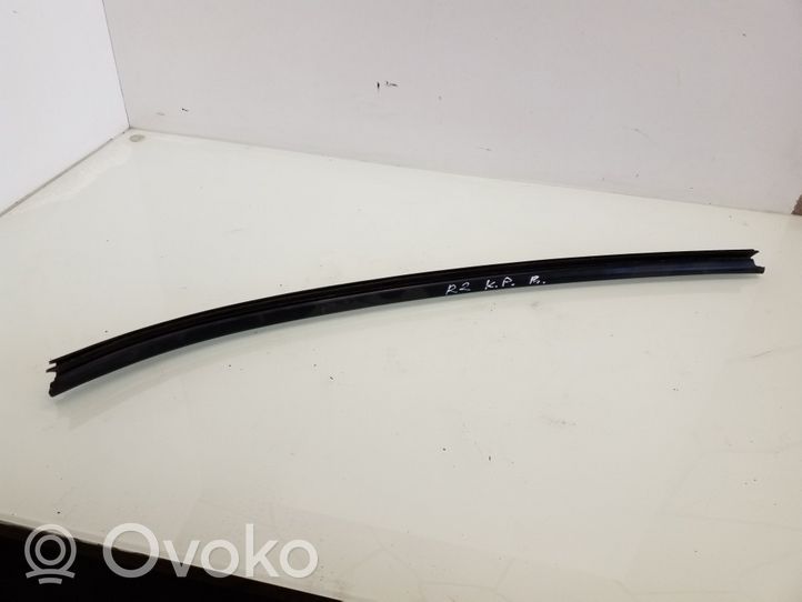 Citroen Berlingo Front door rubber seal H795