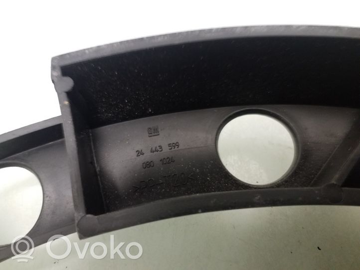 Opel Signum Rivestimento vano della ruota di scorta GM24443599