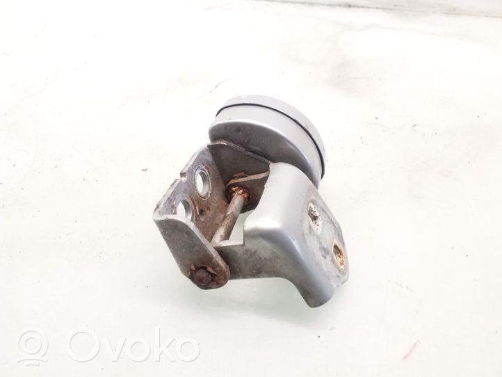 Renault Megane II Front door lower hinge 