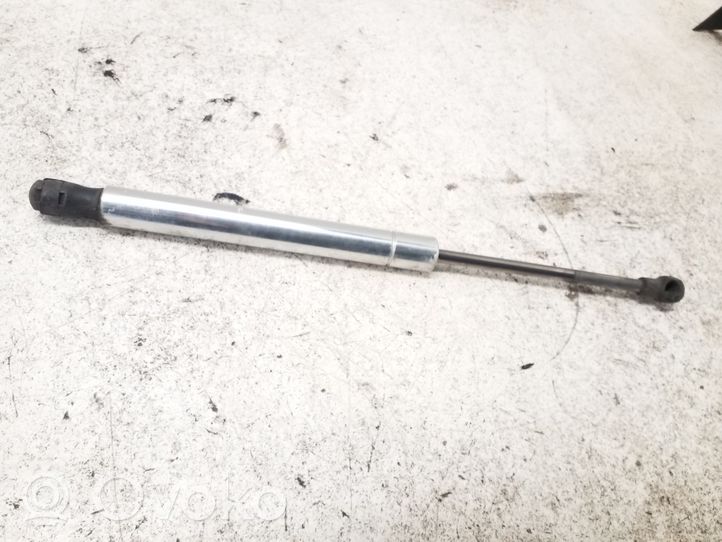 Volkswagen Phaeton Tailgate/trunk strut/damper 