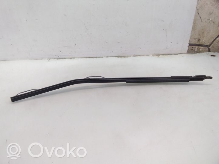 Volkswagen PASSAT B6 Rear door windshield rail 3C9839066