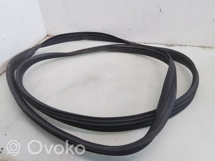 Peugeot 107 Front door rubber seal 