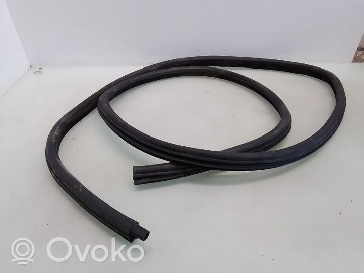 BMW 3 E46 Rear door rubber seal (on body) 