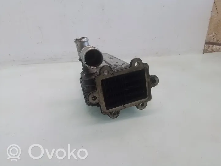 Volkswagen Golf IV Valvola di raffreddamento EGR 038131513D