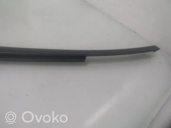 Nissan Murano Z50 Rear door glass trim molding 