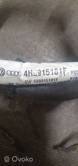 Audi A8 S8 D4 4H Negative earth cable (battery) 4H0915181F