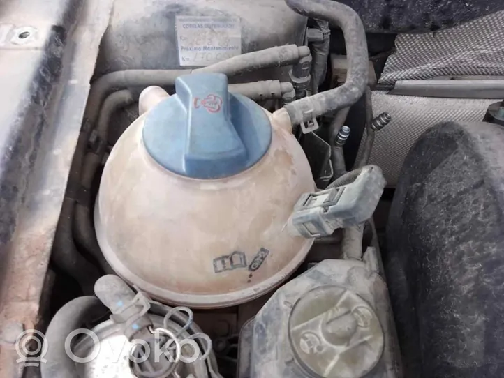 Volkswagen Golf V Vaso di espansione carburante 