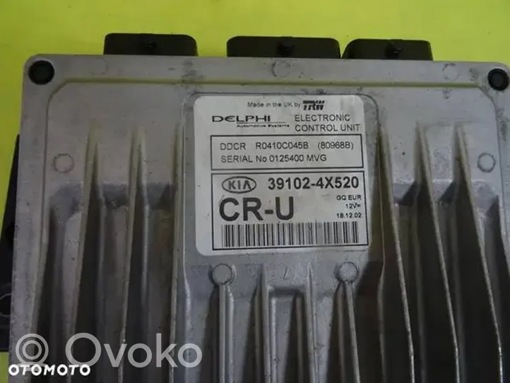 KIA Carnival Calculateur moteur ECU 391024X520