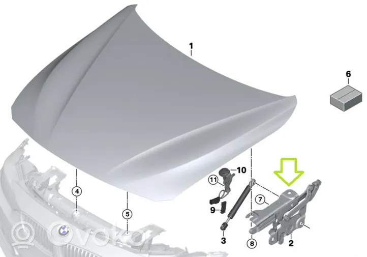 BMW 4 F32 F33 Vyris (-iai) variklio dangčio 7336700