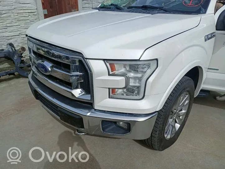 Ford F150 Pidike (kiinnike) 