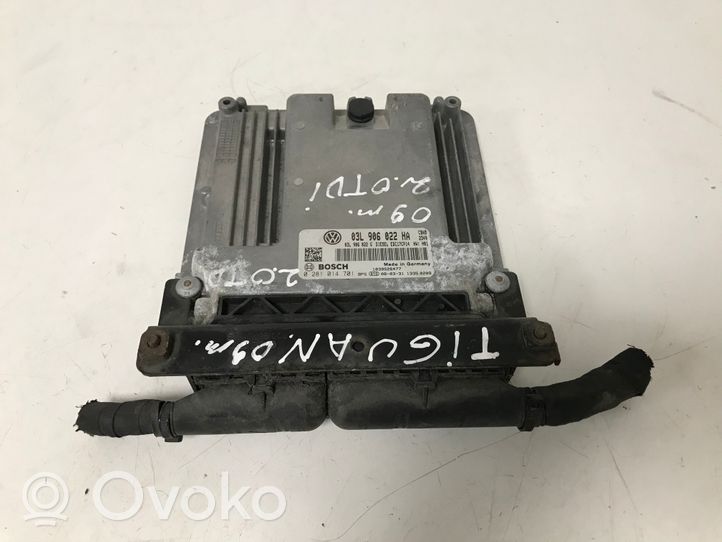 Volkswagen Tiguan Calculateur moteur ECU 03L906022HA