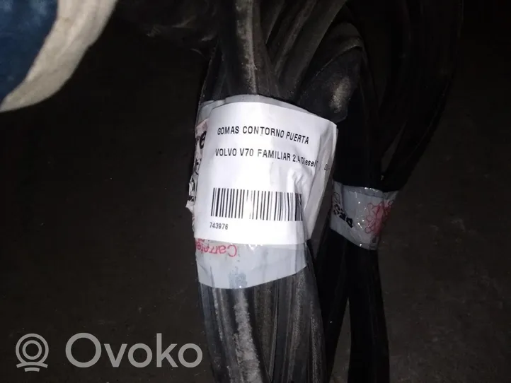 Volvo S80 Gummidichtung Vordertür (an der Tür) 743976