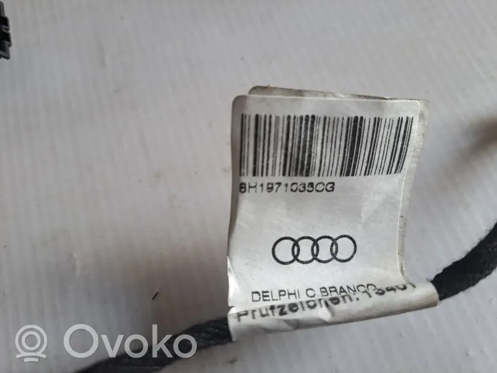 Audi A4 S4 B7 8E 8H Faisceau de câblage de porte avant 8H1971035CG