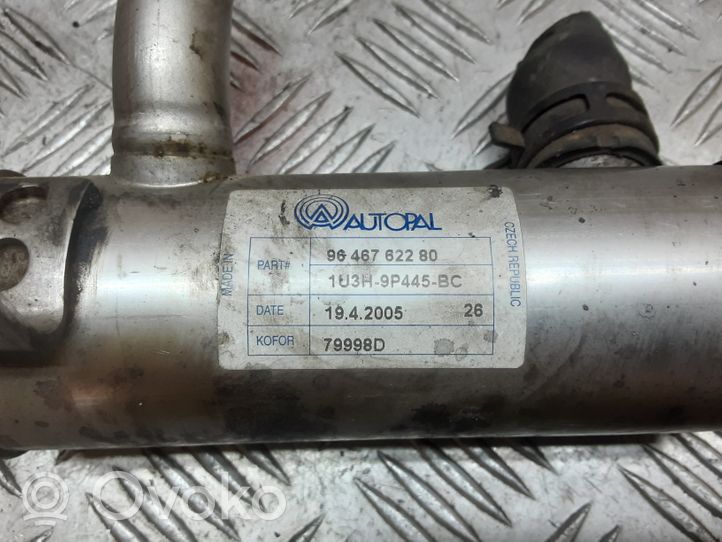 Citroen C4 Aircross EGR-venttiili/lauhdutin 9646762280