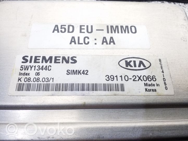 KIA Rio Unité de commande, module ECU de moteur 391102X066