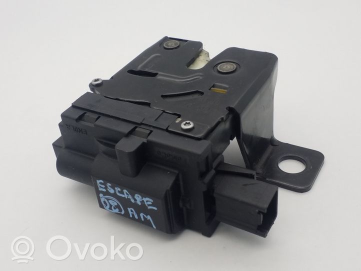 Ford Escape Loading door lock 06070F02