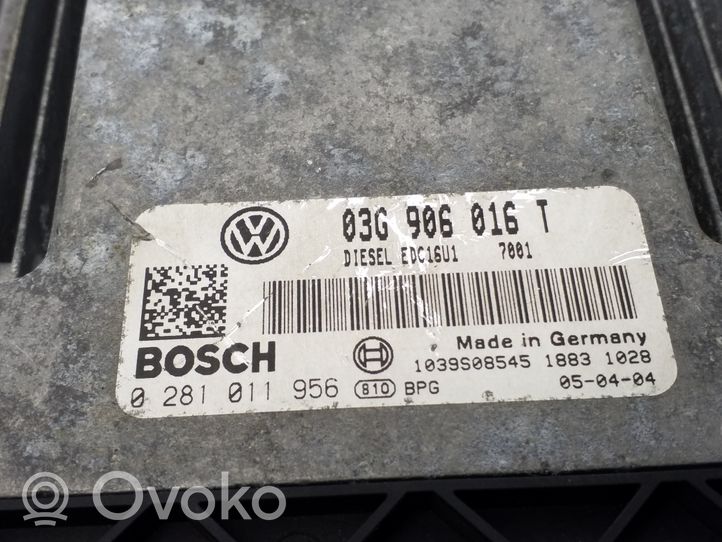 Volkswagen Golf Plus Motora vadības bloka ECU 03G906016T