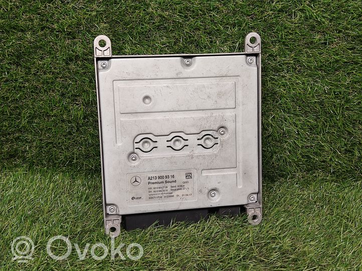 Mercedes-Benz E W213 Amplificatore A2139009316