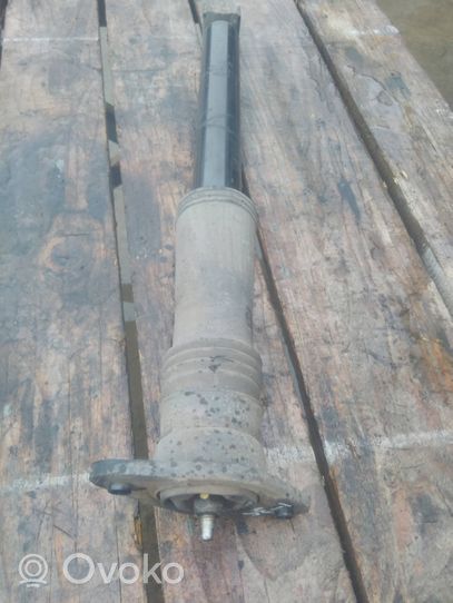 Hyundai ix35 Rear shock absorber/damper 