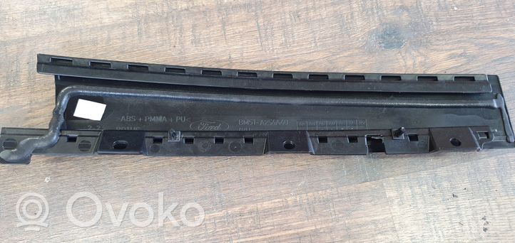 Ford Focus Rear door trim (molding) 