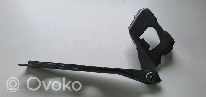 Audi S5 Engine bonnet/hood hinges 