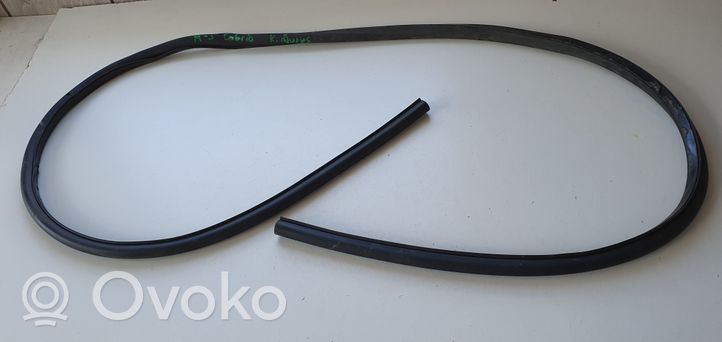 Audi A5 Rubber seal front coupe door 