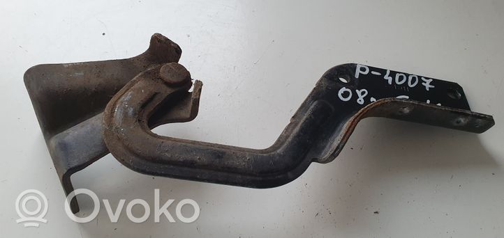 Peugeot 4007 Tailgate/trunk/boot hinge 