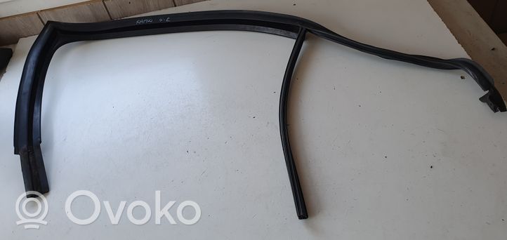 Skoda Rapid (NH) Rubber seal rear door window/glass 