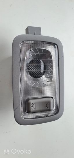 Hyundai Santa Fe Rear door interior light 