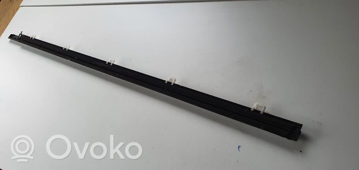 Honda Accord Rivestimento della portiera anteriore (modanatura) 