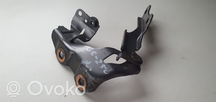 Lexus GS 250 350 300H 450H Cerniere del vano motore/cofano 