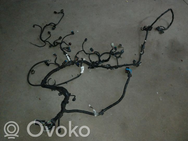 Ford Focus Engine installation wiring loom 