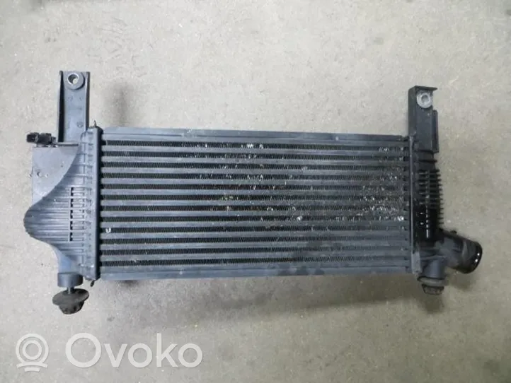 Nissan Pathfinder R51 Radiateur de refroidissement 