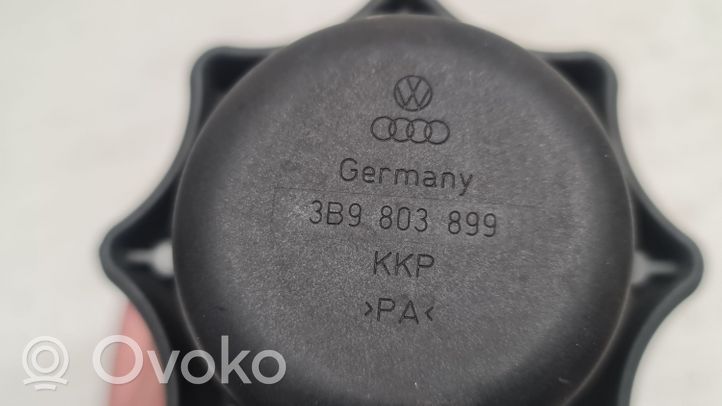 Volkswagen PASSAT B5 Śruba mocowania koła zapasowego 3B9803899