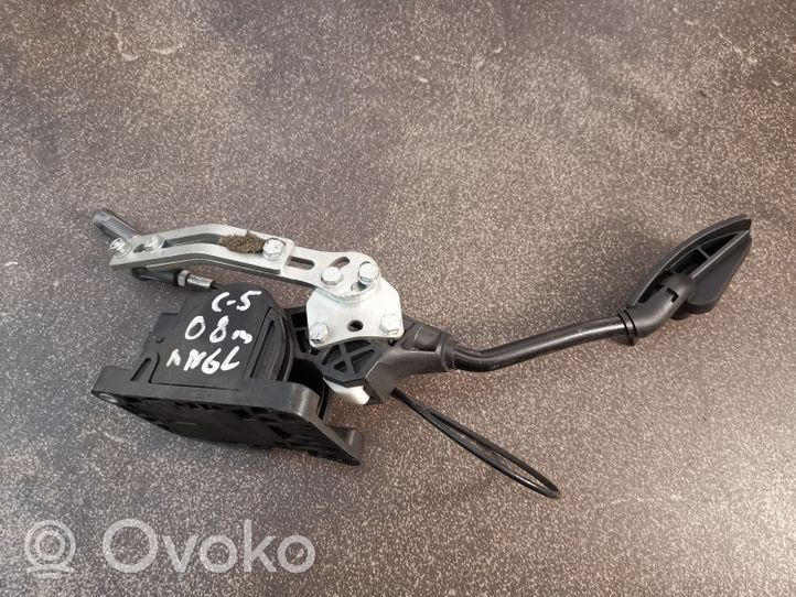 Citroen C5 Pedale dell’acceleratore 9685216180