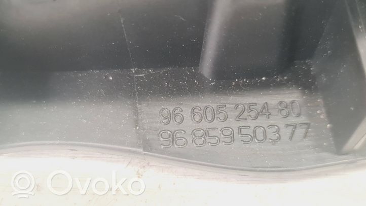 Citroen C4 II Etuoven sisäkahva 9660525480