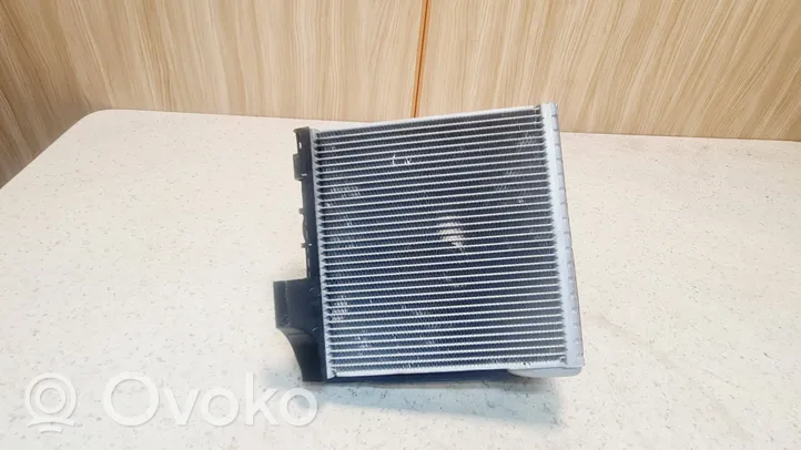 Volkswagen Tiguan Air conditioning (A/C) radiator (interior) 3C1820103D