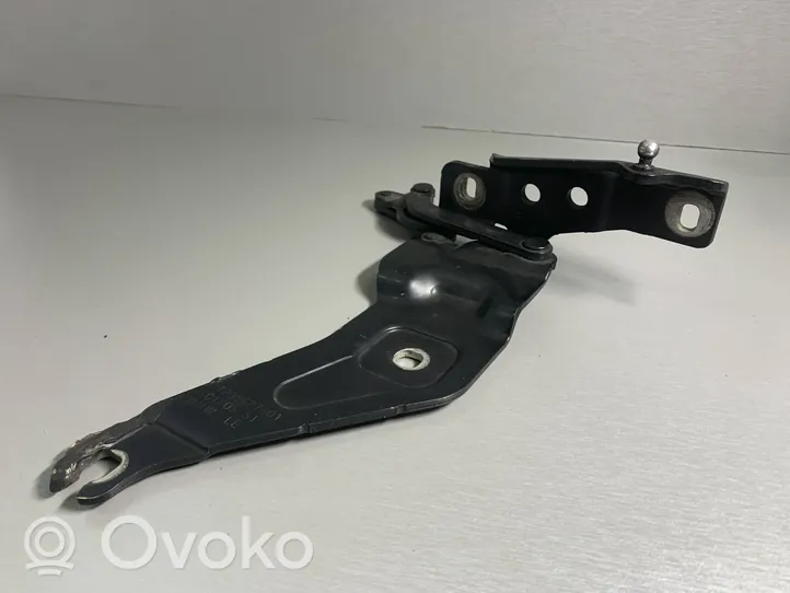 BMW X5 E70 Cerniere del vano motore/cofano 7208627