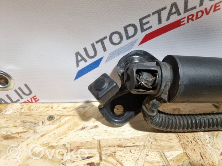 BMW 3 F30 F35 F31 Ammortizzatore portellone posteriore/bagagliaio 7432373