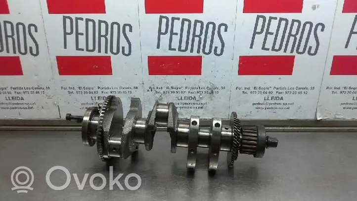 Hyundai Accent Crankshaft 