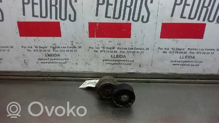 Fiat Stilo Generator/alternator belt tensioner 