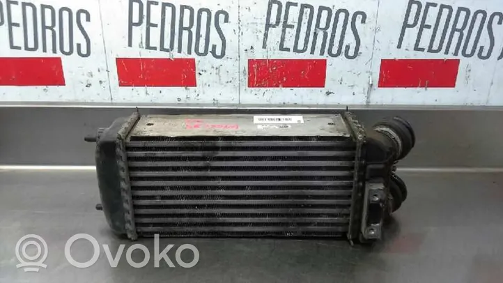 Peugeot 206 Chłodnica powietrza doładowującego / Intercooler 9648402780