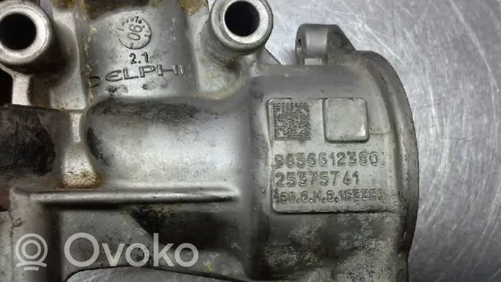 Citroen C4 Aircross Zawór EGR 9656612380