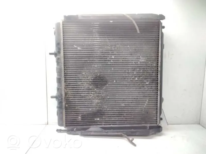 Hyundai Terracan Radiateur de refroidissement 25310H1920