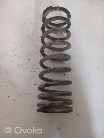 Tata Safari Rear coil spring 