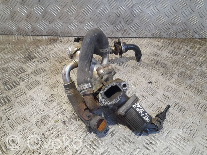 Opel Combo C EGR-venttiili/lauhdutin 0250704314