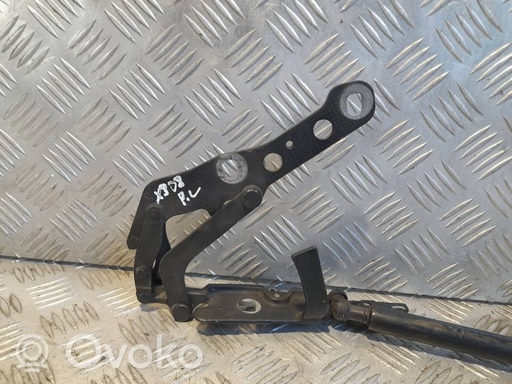 BMW X3 E83 Cerniere del vano motore/cofano 3411448