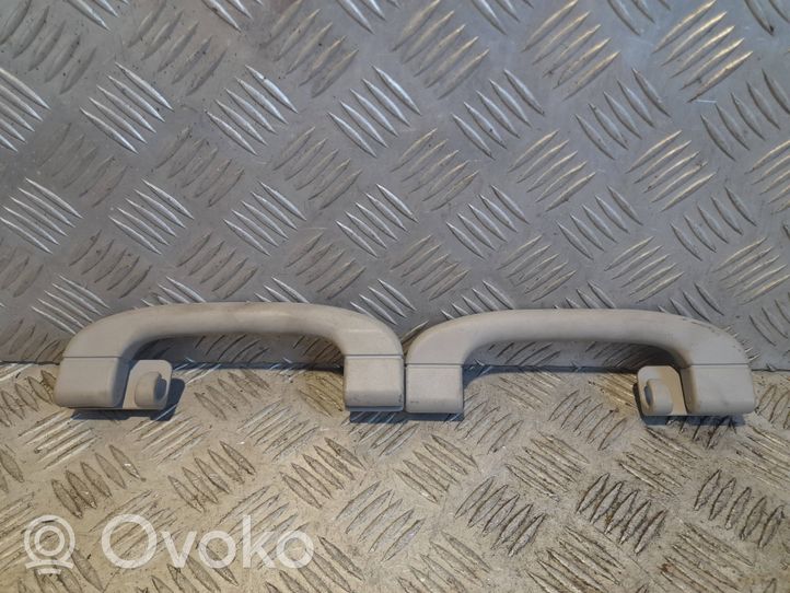 BMW X5 E70 Un set di maniglie per il soffitto 